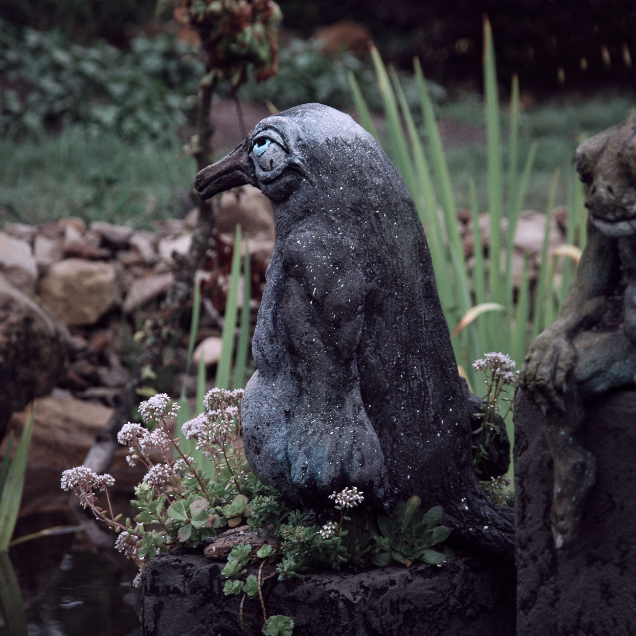 seitlich von hinten ansicht meines klimakrisen pinguins im strallaga garten