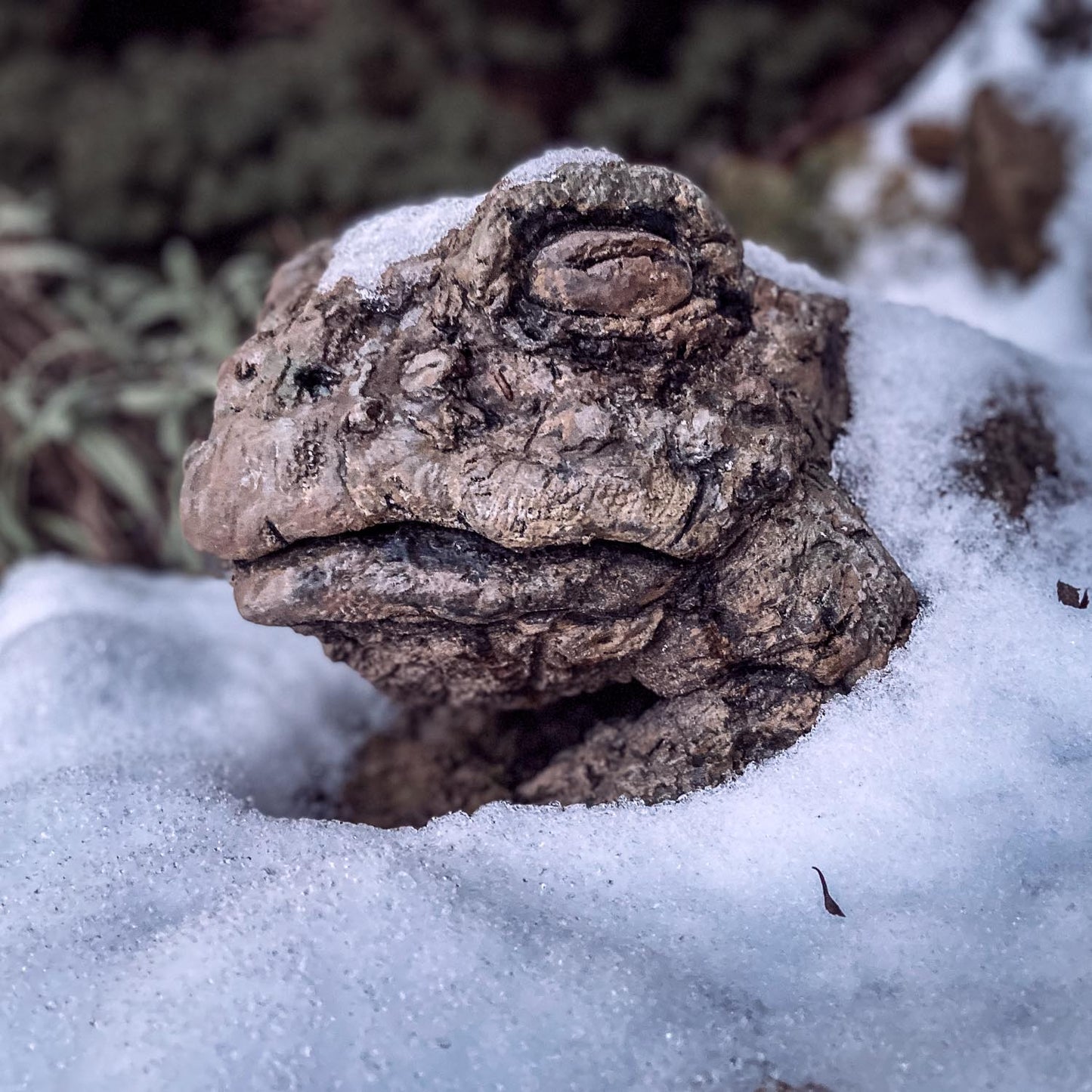 kröten plastik von roland Straller halb schnee bedeckt - sieht etwas frierend aus :-)