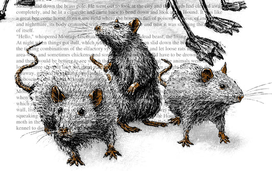 BUCH-ILLUSTRATIONEN