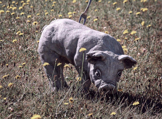 schweinchen als betonskulptur mit gabel im hintern von rolandstraller modelliert