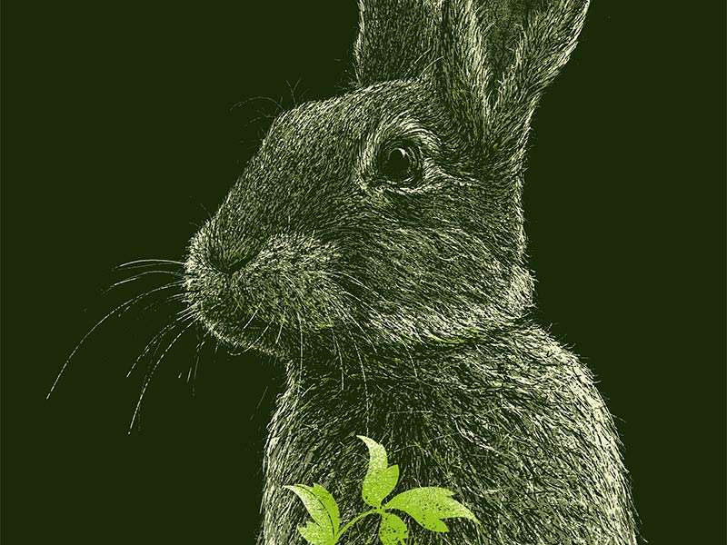 VEGAN MEANS serie