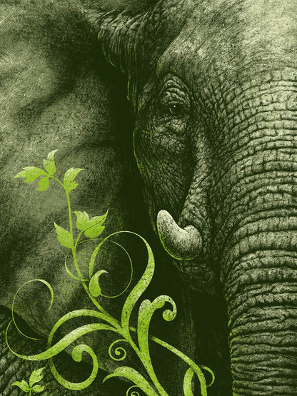 … COMPASSION & EMPATHY