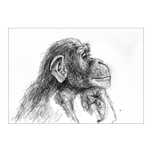 GREAT APE 4