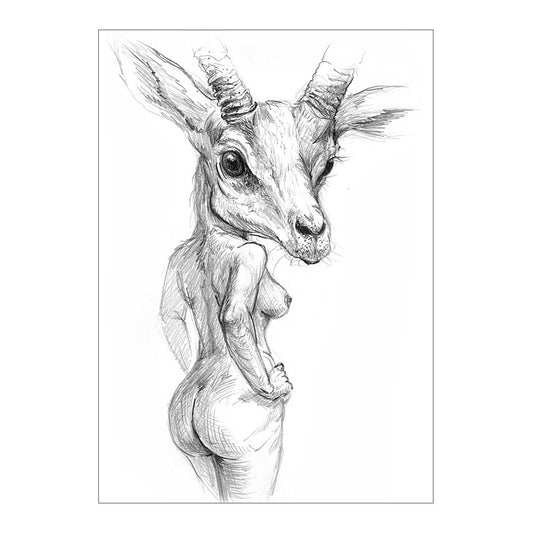 BREITARSCH-ANTILOPE!