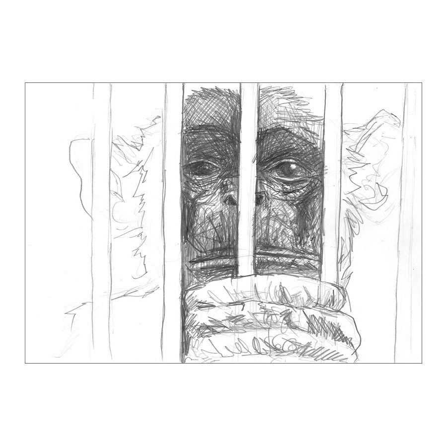 GREAT APE 3