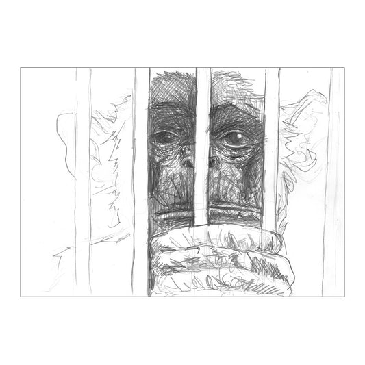 GREAT APE 3