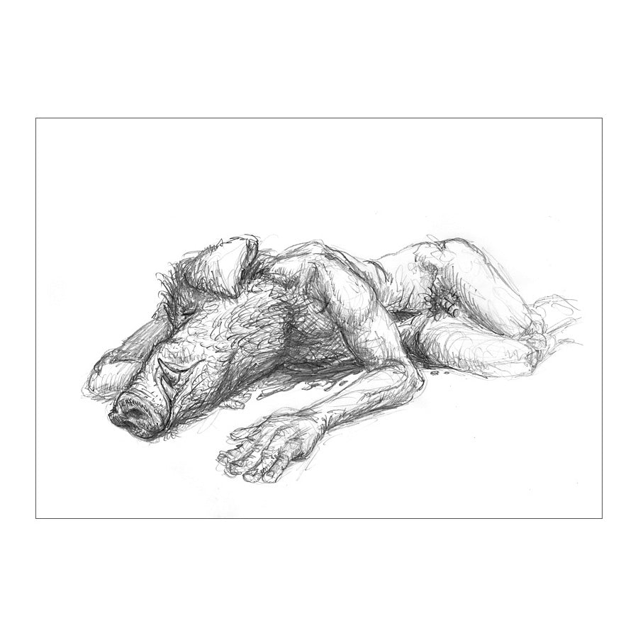 WILDSCHWEINSTRECKE 2012