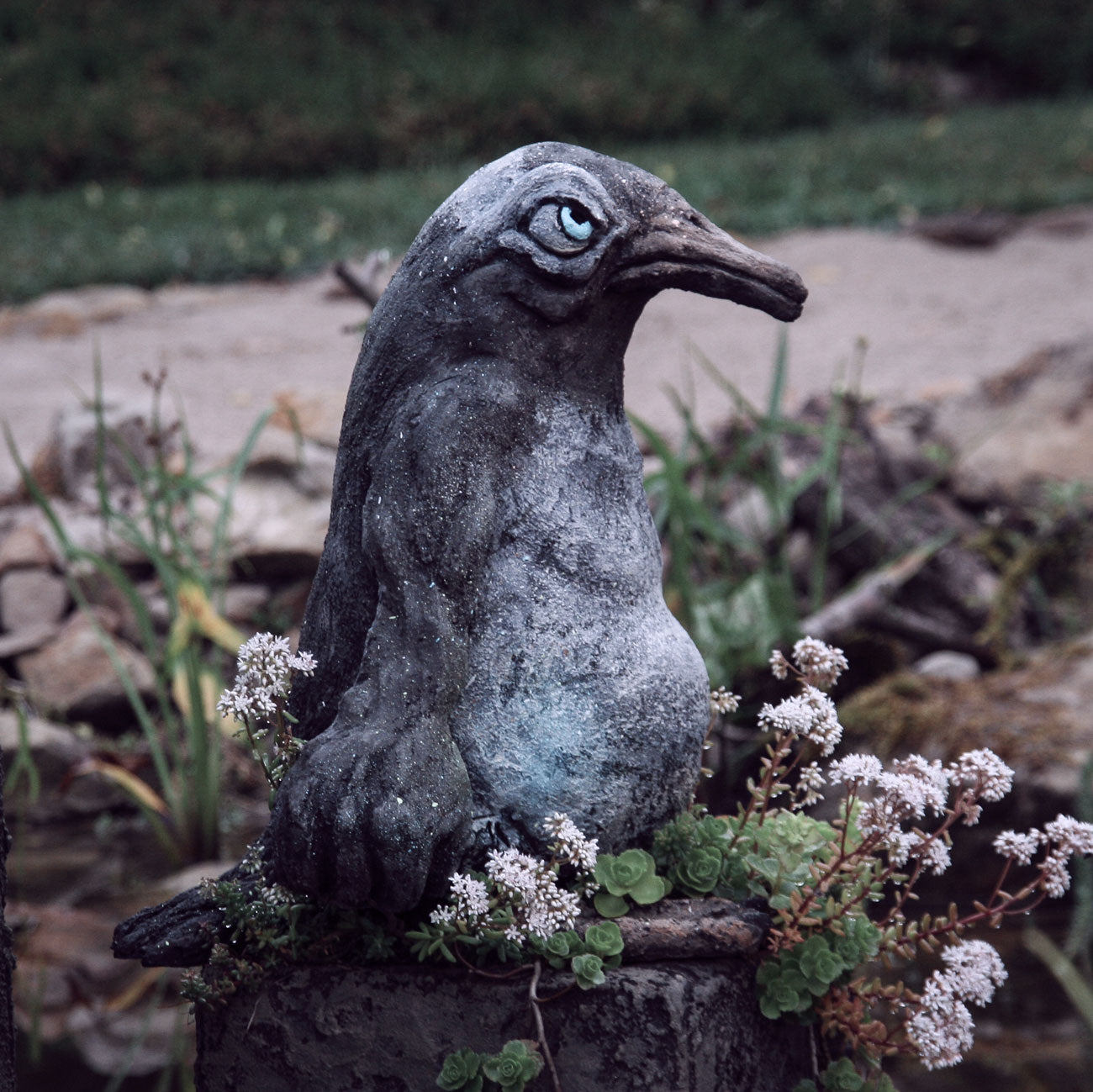 beton pinguin seitlich im profil auf sockel zwischen sedum blühend