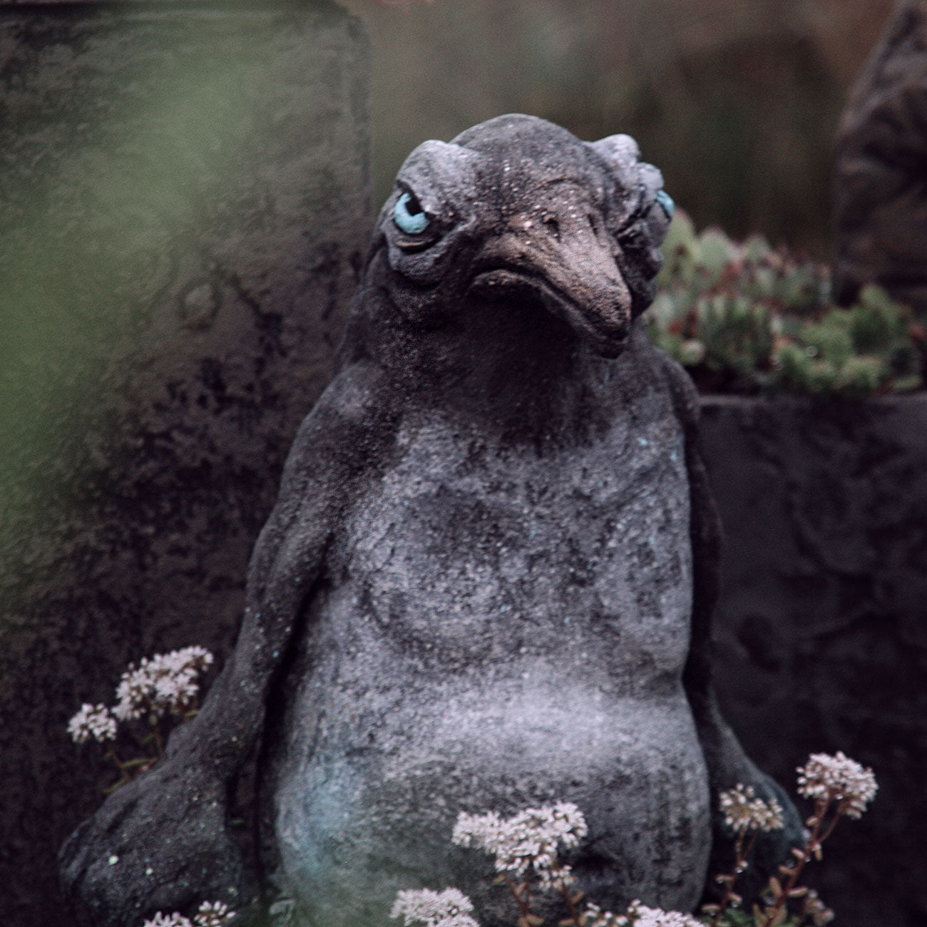 kleiner dicker wütender pinguin mit fäusten statt flossen