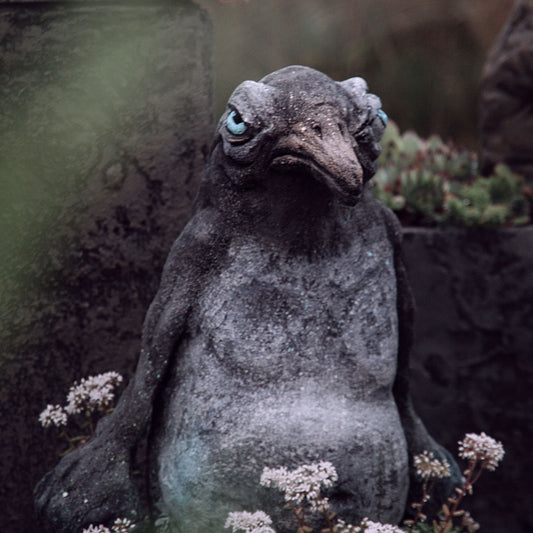 kleiner dicker wütender pinguin mit fäusten statt flossen