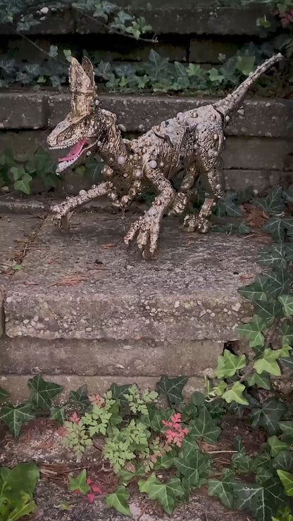 HOLY BEAST
