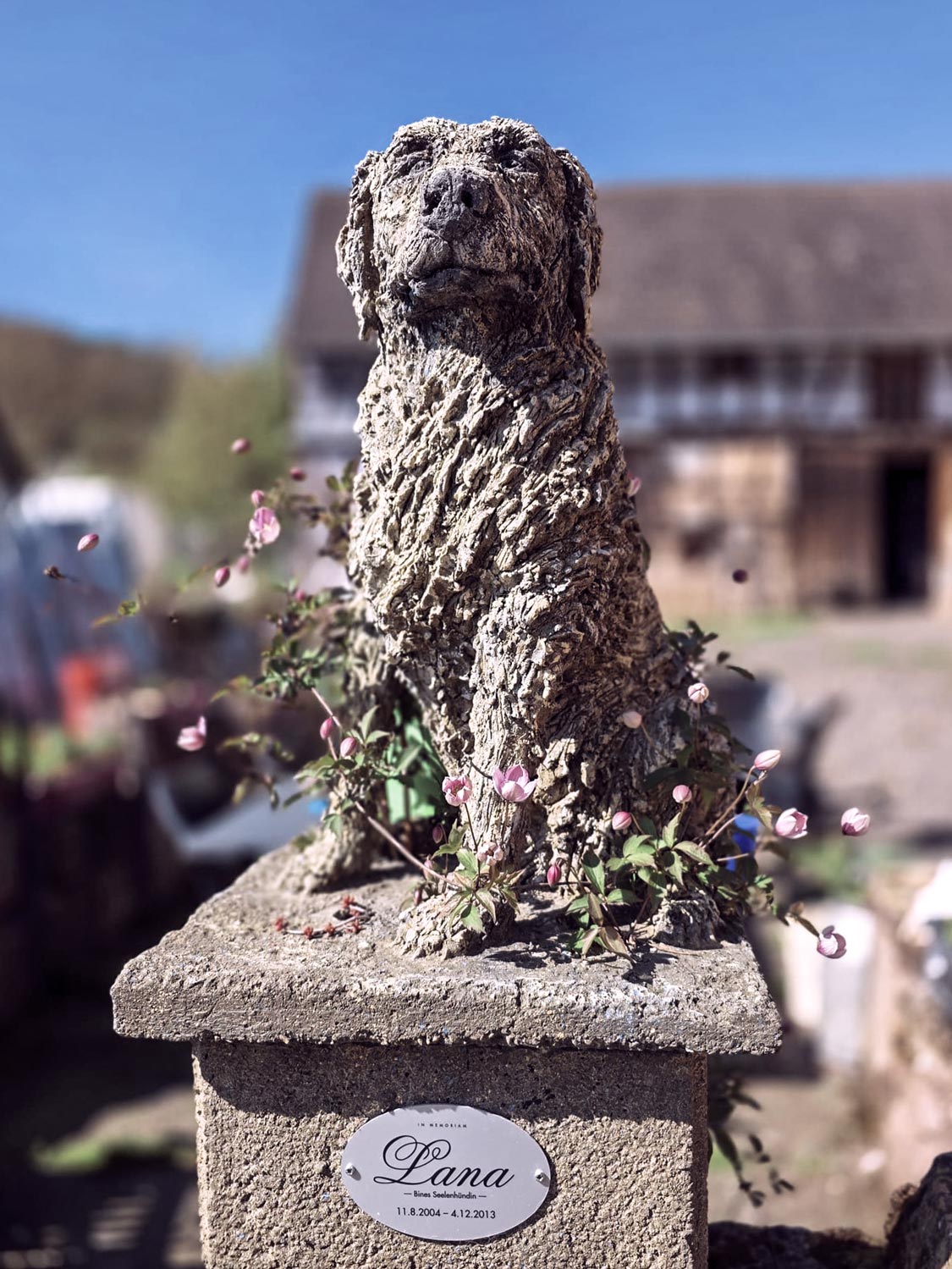 meine lana skulptur in voller clematis blüte auf hof lana in greuda thüringen bei den Seelentröstern