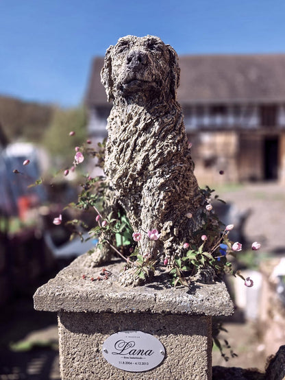 meine lana skulptur in voller clematis blüte auf hof lana in greuda thüringen bei den Seelentröstern