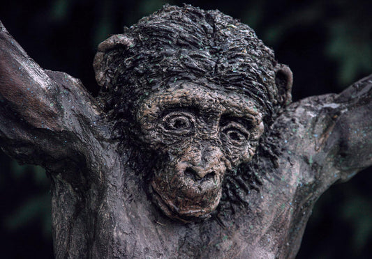 zoom auf kopf der bonobo frau betonskulptur karla schnikow, blickt traurig und desillusioniert auf den boden