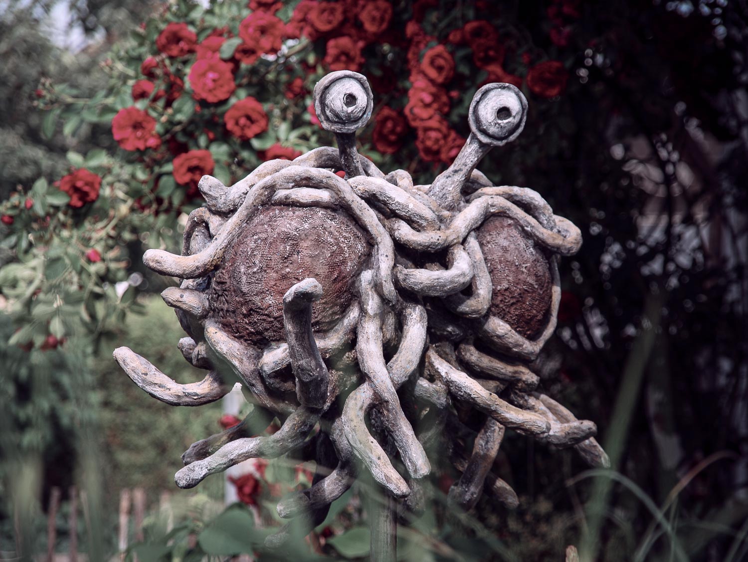 das FSM mit seinen nudeligen Anhängsel schwebend vor Rosenstrauch - von vorne