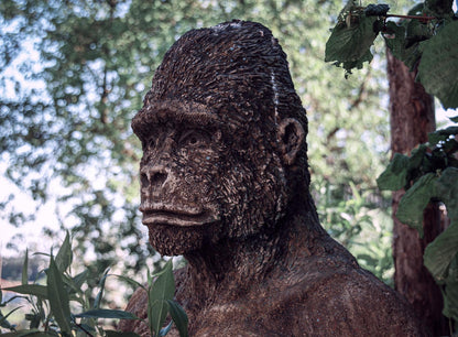friedemann gorilla kopfansicht unscharf dahinter STRALLAGA Gartengalerie von Roland Straller
