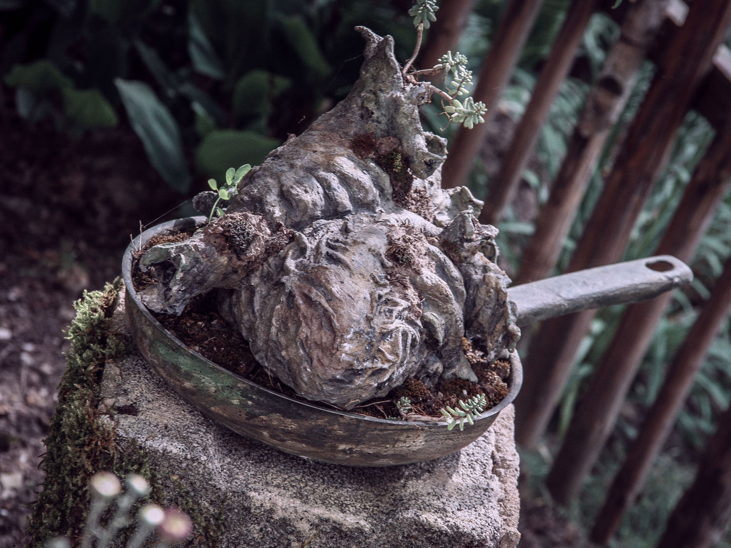 herz aus beton stein in einer alten pfanne gebettet auf einem podest stein im garten