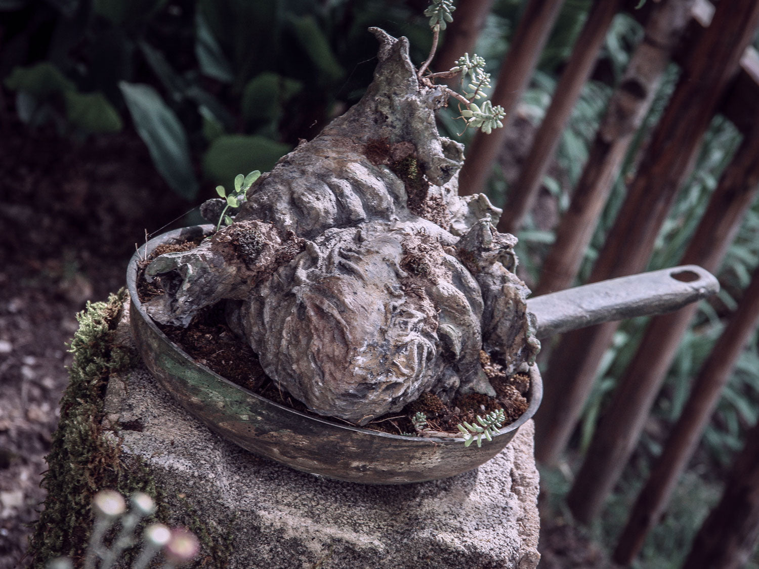 herz aus beton stein in einer alten pfanne gebettet auf einem podest stein im garten