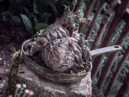 herz aus beton stein in einer alten pfanne gebettet auf einem podest stein im garten
