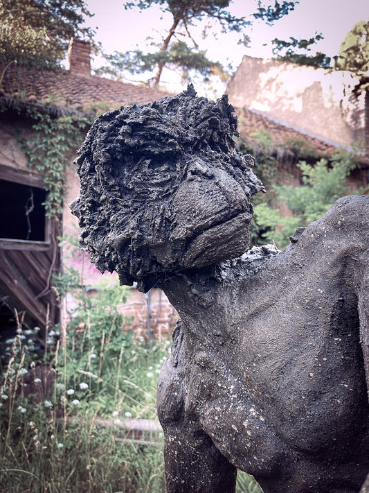 detailaufnahme von kopf der grimmig dreinblickendnen menschnaffen betonskulptur