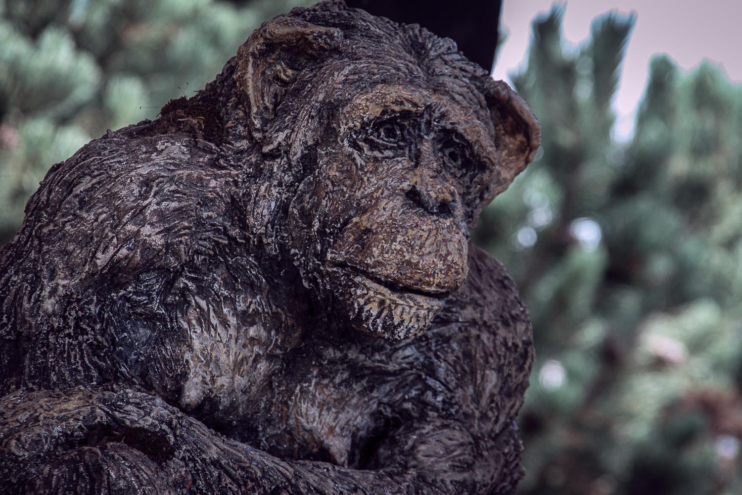 detailansicht von oma chimpmans beton kopf 