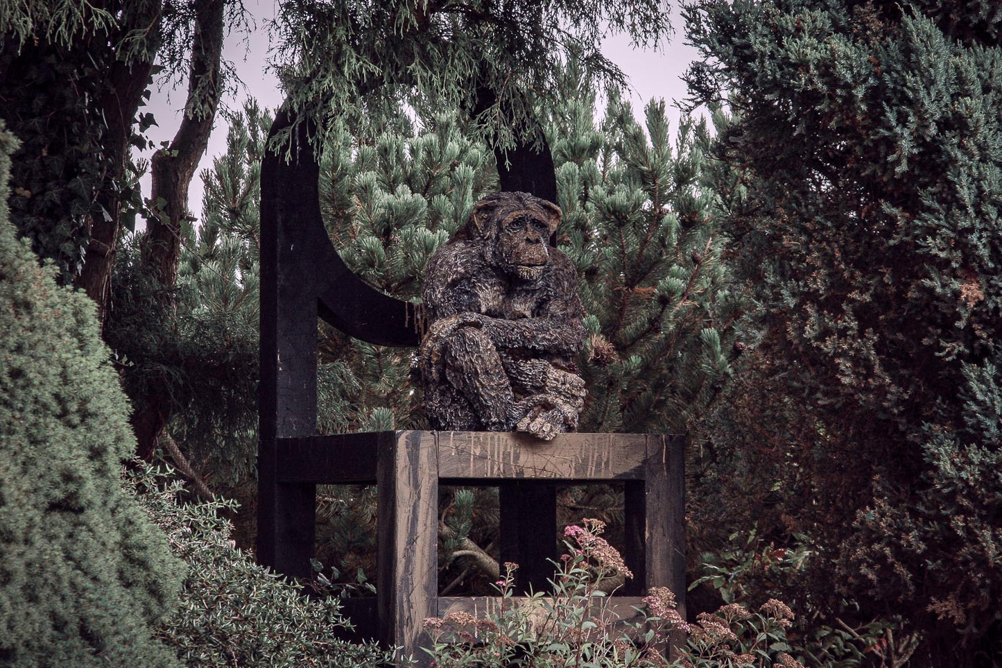 schimpansen statue auf großem holzstuhl thron