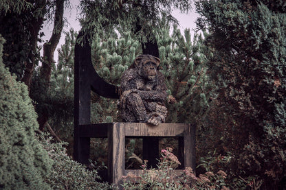 schimpansen statue auf großem holzstuhl thron