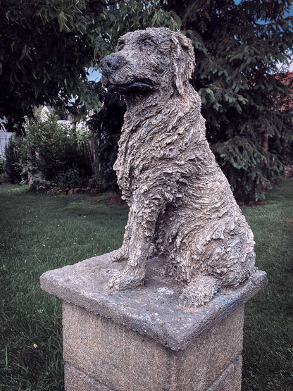 gesamtansicht von hunde statue im garten von künstler roland straller 