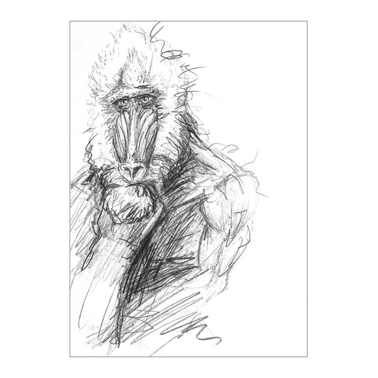 ALPHA 3