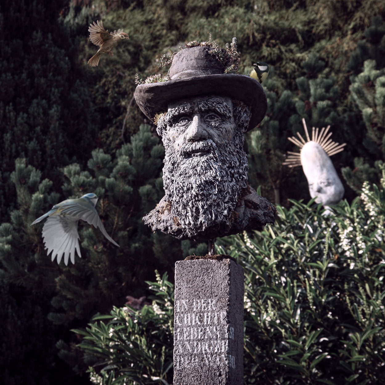 darwinbüste mit hut, vögel fliegen den hut an, im hintergrund viel grün, auf dem sockel steht nichts ist beständiger als der wandel