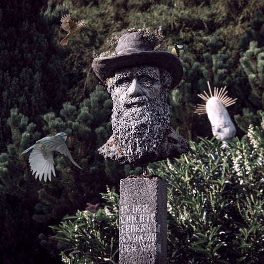 darwinbüste mit hut, vögel fliegen den hut an, im hintergrund viel grün, auf dem sockel steht nichts ist beständiger als der wandel