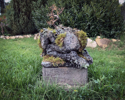 GEFLEHT