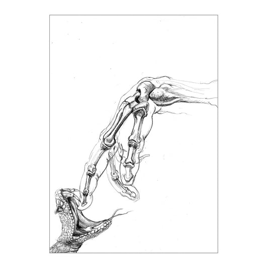 ANIMAL TEST 2
